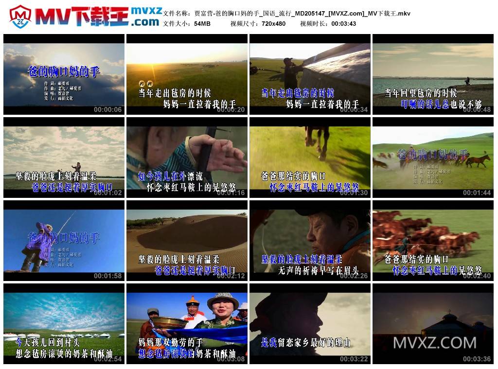 贾富营-爸的胸口妈的手_国语_流行_MD205147